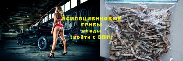 Альфа ПВП Пролетарск