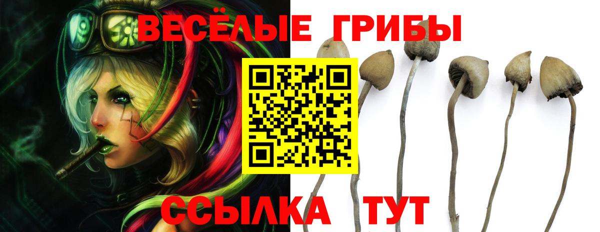 Галлюциногенные грибы мухоморы  хочу   Слободской  Вход с VPN 